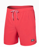 SAXX SWIM shorts