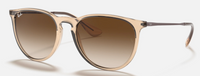 Ray-Ban Erika Transparent Light Brown  Brown Gradient Dark Brown  4171